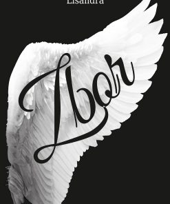 Zbor