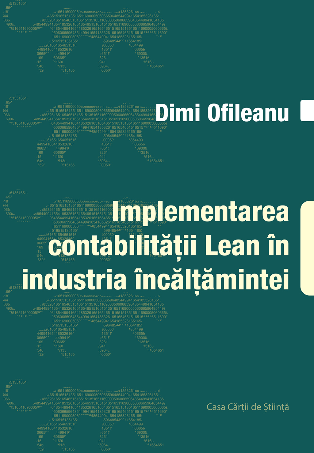 Implementarea contabilității Lean în industria încălțămintei
