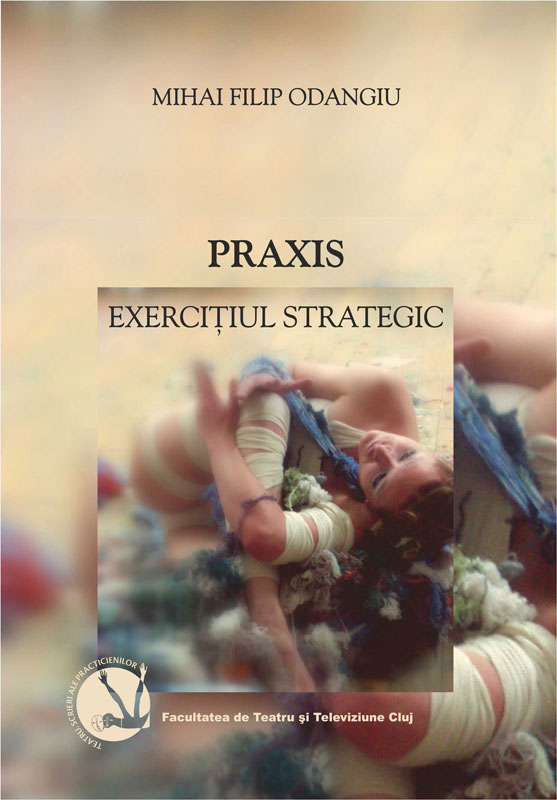 Praxis. Exerciţiul strategic