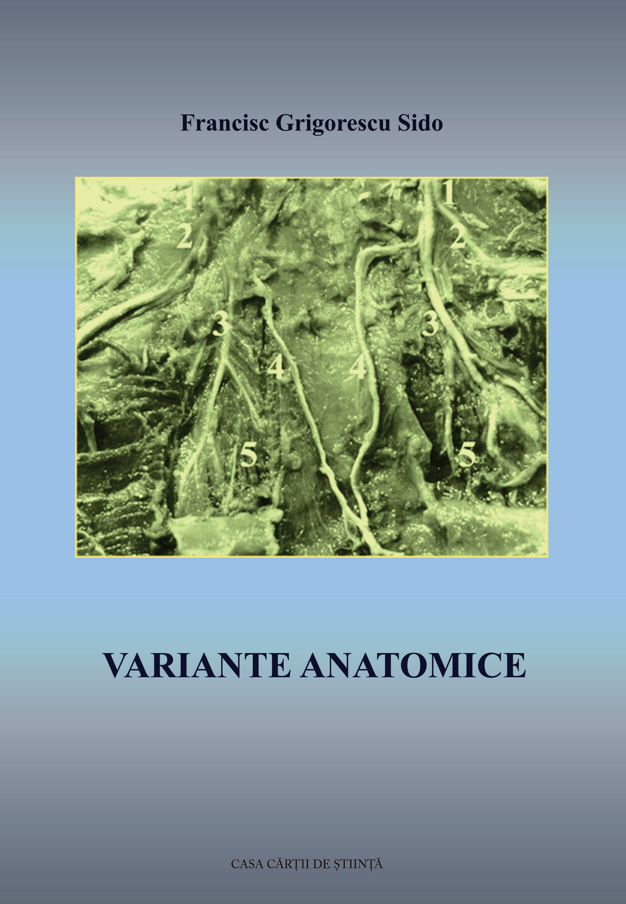 Variante anatomice