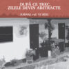 După ce trec, zilele devin abstracte. Jurnal vol. VI