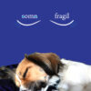 somn fragil. Poezii