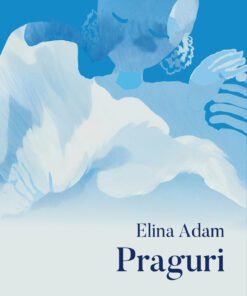 Praguri