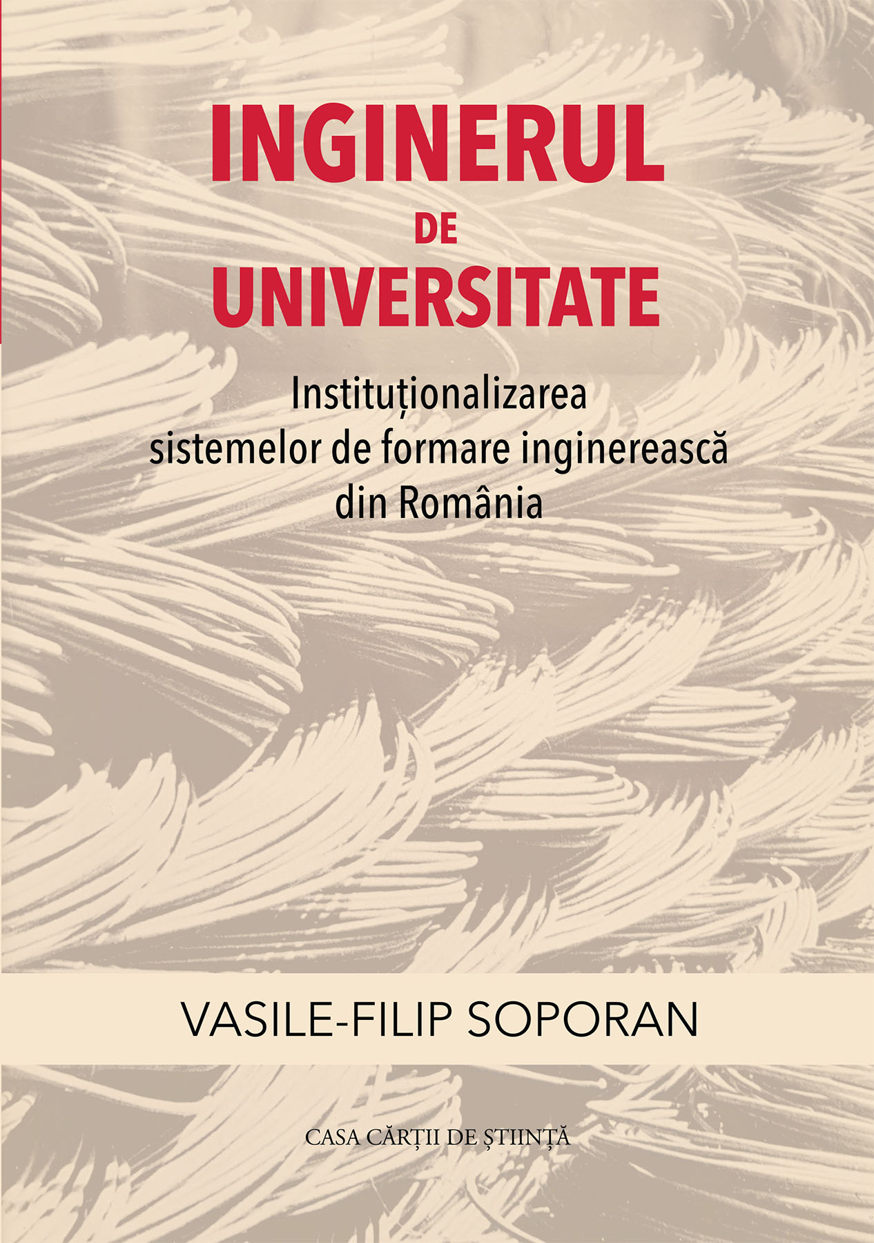 Inginerul de universitate. Instituționalizarea sistemelor de formare inginerească din România